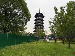 -洋湖国家湿地公园