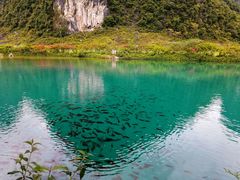 -靖西鹅泉风景区