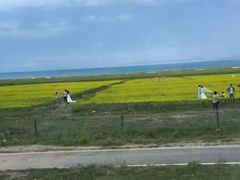 -青海湖国家重点风景名胜区