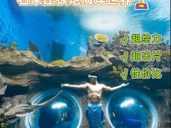 -石家庄极地海洋世界