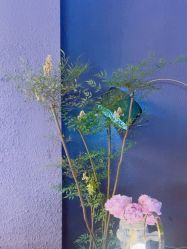 -花隐·美芙炫海菲秀皮肤管理中心