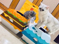 -麦当劳(苏州中心星悦汇店)