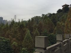 -重庆彩云湖湿地公园