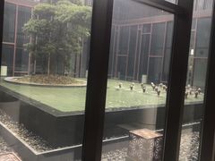 -上海崇明金茂凯悦酒店