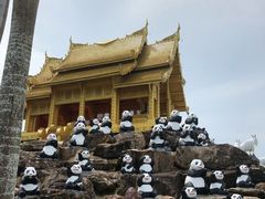 -东芭乐园