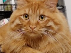 -佳雯宠物医院(金华南路分院)