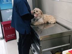 -申普宠物医院·眼科·心内科·影像科(普陀分院)