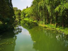 -昆山城市生态森林公园