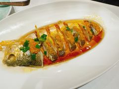 -伊尹活海参馆(衡山路店)