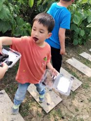 -太湖雪蚕桑文化园