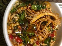 -红鼎坊·老成都火锅(新南门店)