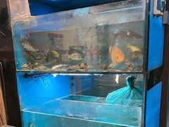 -小钱鱼馆(富春路店)