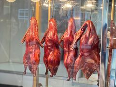 -顺城金记卤鸡·清真