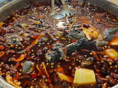 -黑竹香鸡(营和巷店)