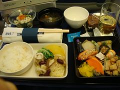 -全日本空输株式会社(上海办事处)