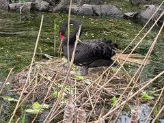 -鲁迅公园-垂钓中心