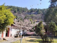 -徐州汉画像石艺术馆