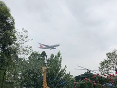 -空港花田景区