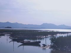 -大亚湾红树林城市湿地公园