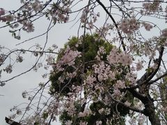 -堤角公园