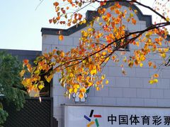 -刘一手重庆火锅(万达广场店)