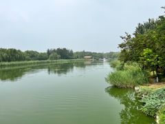 -大兴滨河森林公园