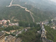 -小李子油焖大虾(天下城旗舰店)