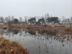 -长兴太湖图影湿地文化园