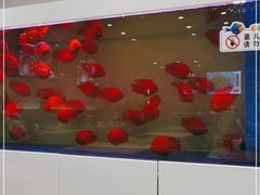 -蟹小满·蟹黄捞面(杭州西湖店)