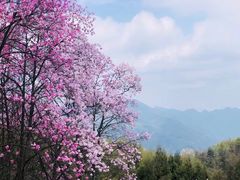 -九皇山景区