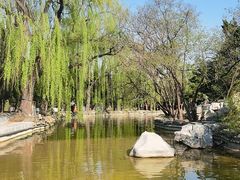 -淄博聊斋城景区