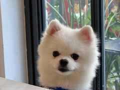 -工页咖啡X COFFEE(龙东路店)