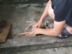 -阿军排档·烧烤