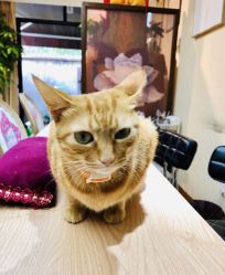 -EasyLady美甲沙龙