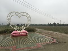 -曲江薰衣草庄园