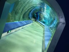 -福州罗源湾海洋世界旅游区