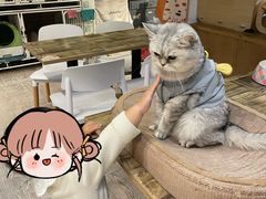 -小时光咖啡馆(北锣鼓巷店)