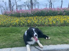 -芒洲湿地公园