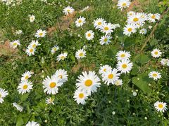 -白鹭湾湿地公园