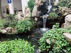 -上海市皮肤病医院(武夷路院区)