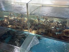 -白沙洲农产品大市场-海鲜交易区