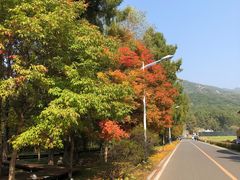 -吉林市朱雀山国家森林公园