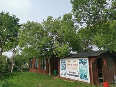 -鹅湖玫瑰文化园