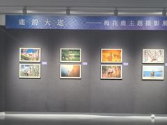 -大连美术馆