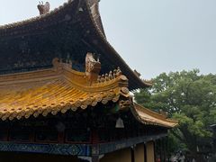 -普陀山风景名胜区-法雨禅寺