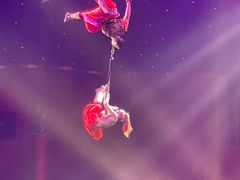 -珠海横琴长隆《卡卡虎奇遇记》