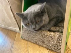 -Me Coffee下午茶艺术空间