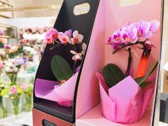 -花邻FloweringLife花艺气球派对(武康大楼店)
