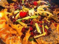 -老板恋上鱼(恒隆广场店)