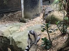 -可伦宾野生动物保护区
